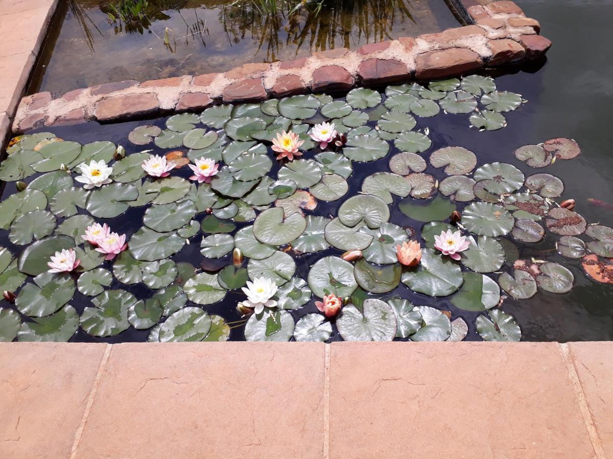 Thirsty Falls Cc Maanhaarrand Ngoại thất bức ảnh